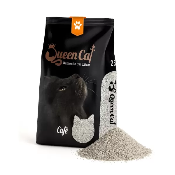 Arena Queen Cat Premium 4K